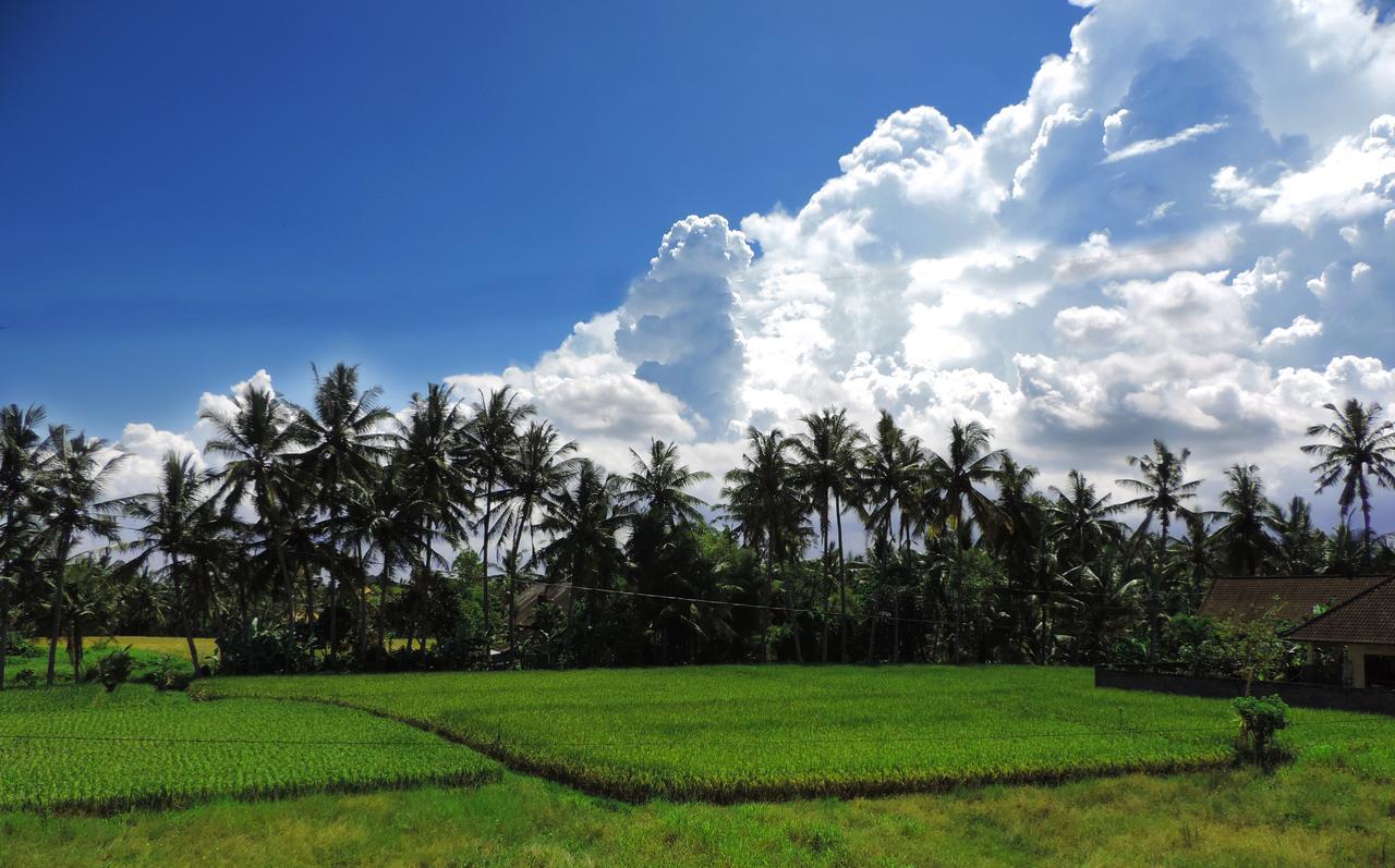 Pondok Ayu Soca Ubud Extérieur photo